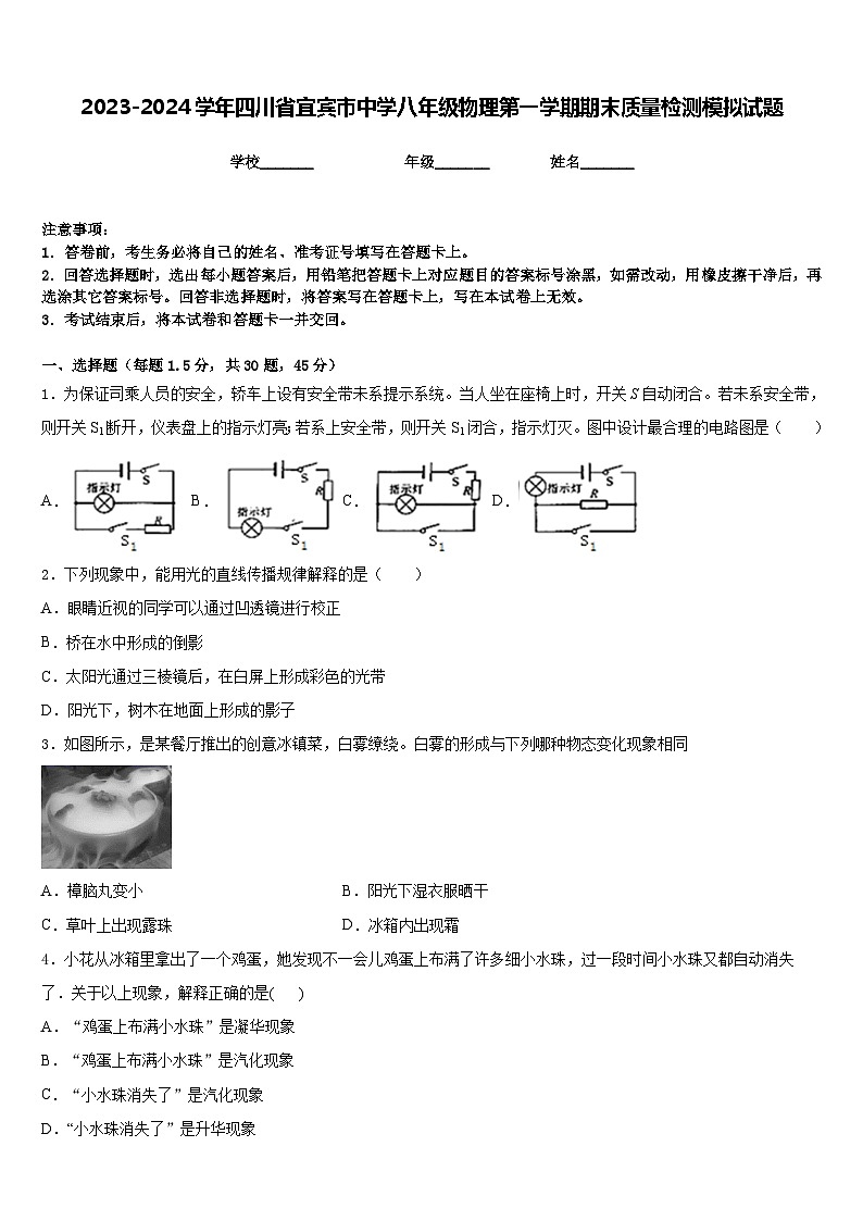 2023-2024学年四川省宜宾市中学八年级物理第一学期期末质量检测模拟试题含答案第1页