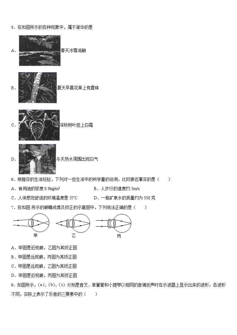 2023-2024学年四川省宜宾市中学八年级物理第一学期期末质量检测模拟试题含答案第2页