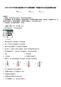 2023-2024學(xué)年四川省成都七中八年級(jí)物理第一學(xué)期期末學(xué)業(yè)質(zhì)量監(jiān)測(cè)模擬試題含答案