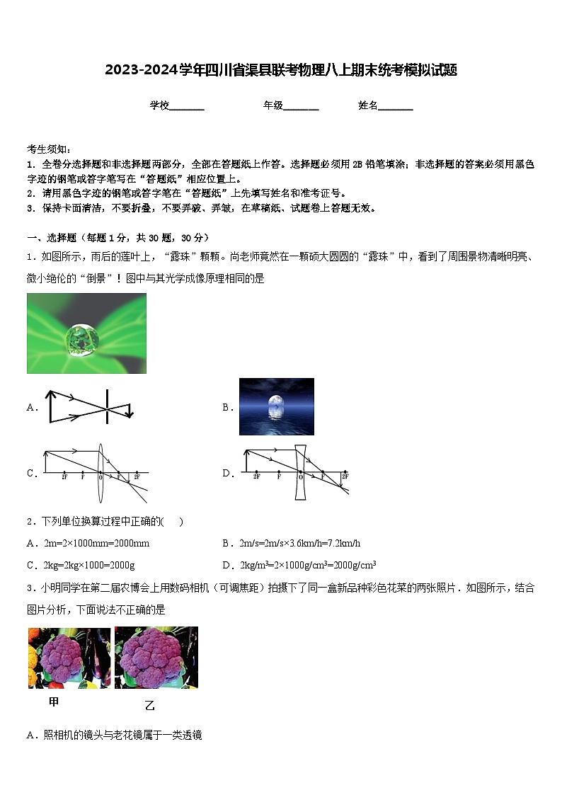 2023-2024学年四川省渠县联考物理八上期末统考模拟试题含答案第1页