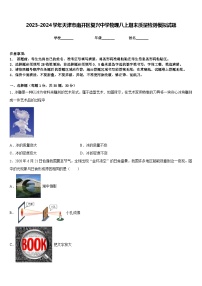 2023-2024學(xué)年天津市南開(kāi)區(qū)復(fù)興中學(xué)物理八上期末質(zhì)量檢測(cè)模擬試題含答案
