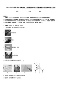 2023-2024學(xué)年天津市薊州區(qū)上倉(cāng)鎮(zhèn)初級(jí)中學(xué)八上物理期末學(xué)業(yè)水平測(cè)試試題含答案