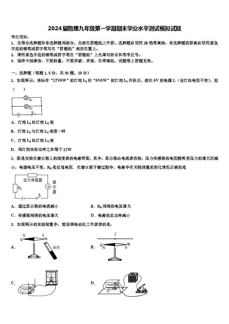 2024届物理九年级第一学期期末学业水平测试模拟试题01