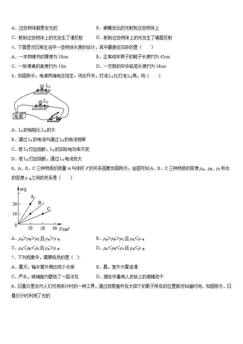 2023-2024学年安徽省安庆市九一六校八年级物理第一学期期末联考模拟试题含答案第2页