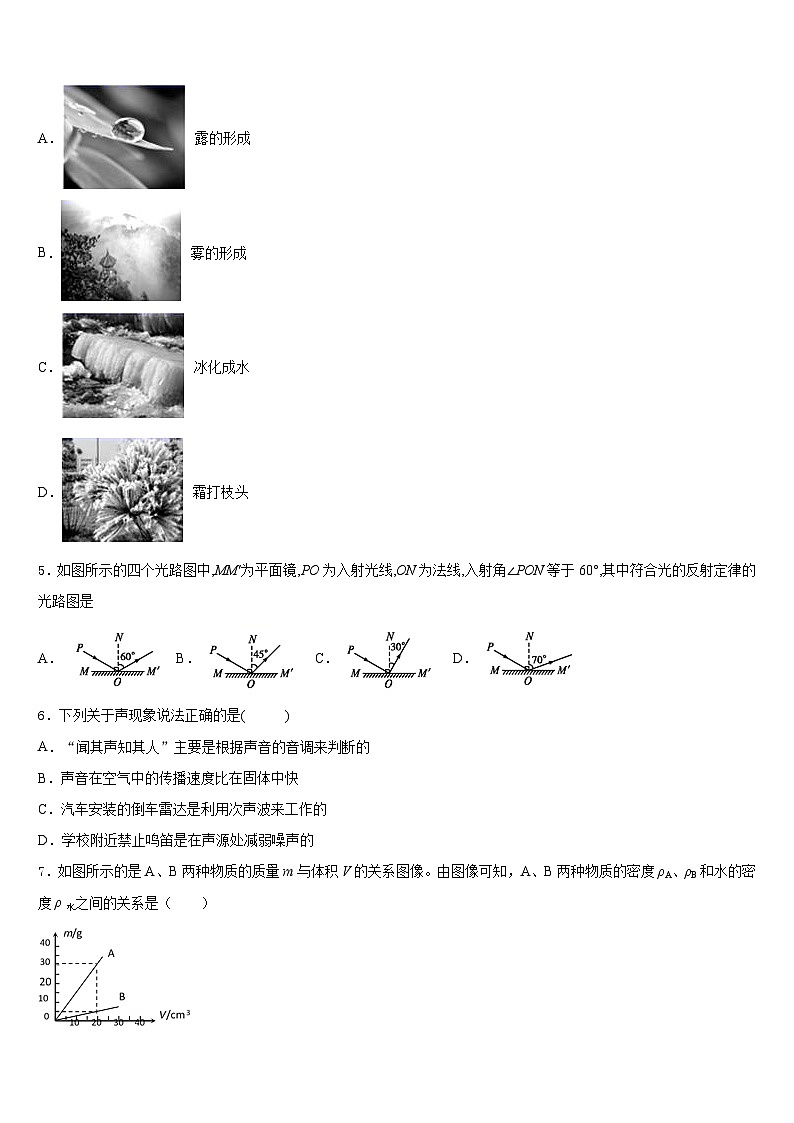 2023-2024学年安徽省亳州蒙城县联考八上物理期末教学质量检测试题含答案02