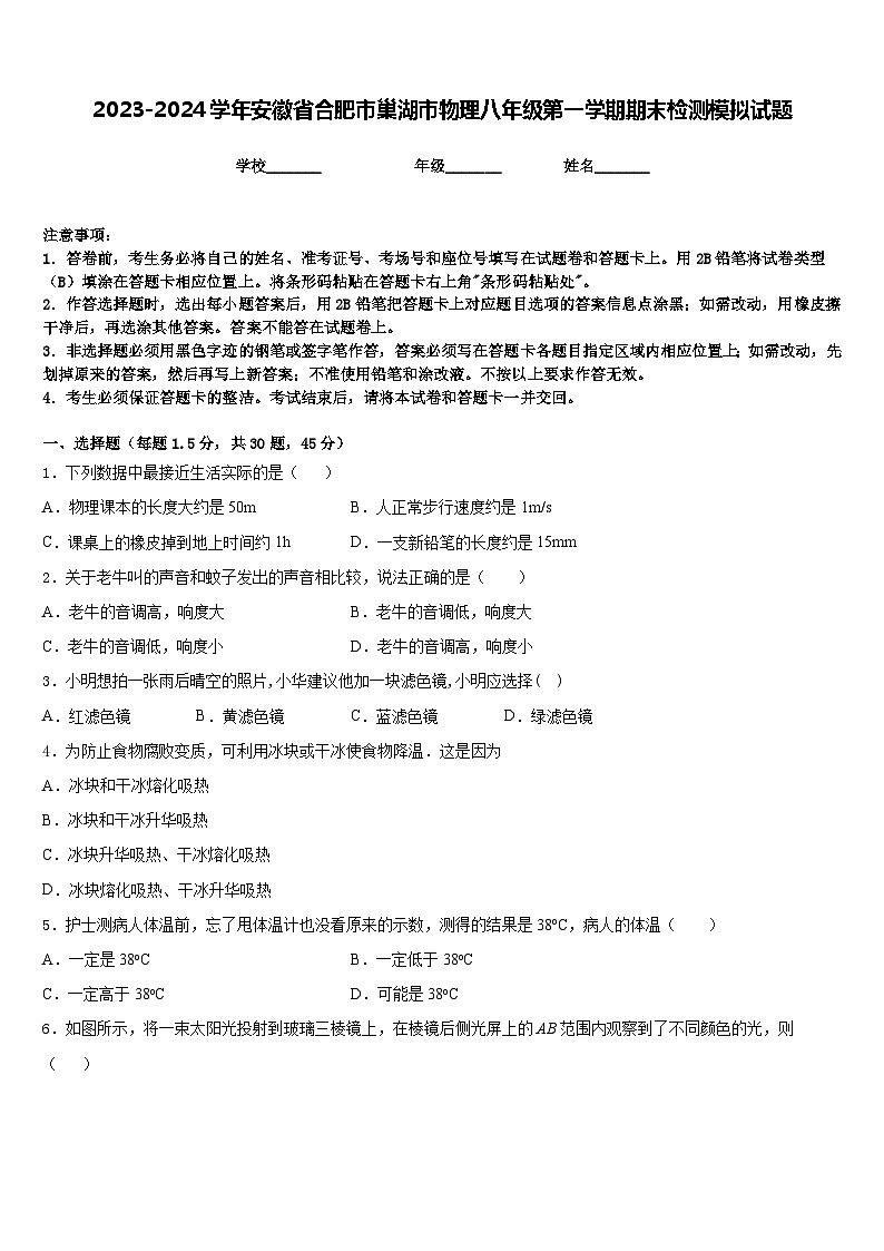 2023-2024学年安徽省合肥市巢湖市物理八年级第一学期期末检测模拟试题含答案01