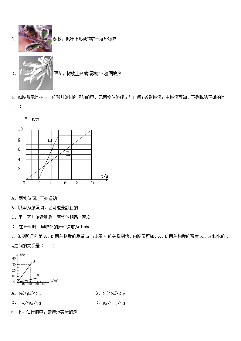 2023-2024学年安徽省合肥市第四十六中学物理八年级第一学期期末学业质量监测试题含答案第2页