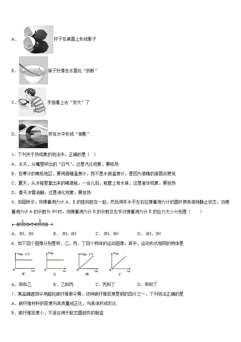 2023-2024学年山东日照明望台中学八年级物理第一学期期末达标检测模拟试题含答案第2页