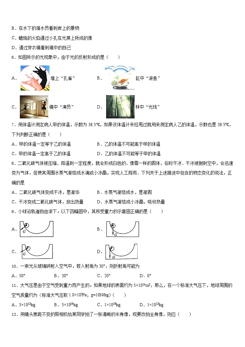 2023-2024学年山东省济南兴济中学八上物理期末综合测试模拟试题含答案第2页