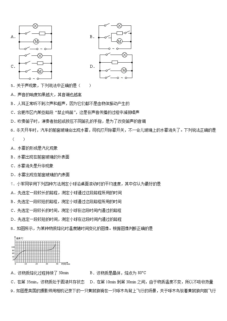2023-2024学年山东省滨州市惠民县物理八年级第一学期期末统考模拟试题含答案第2页