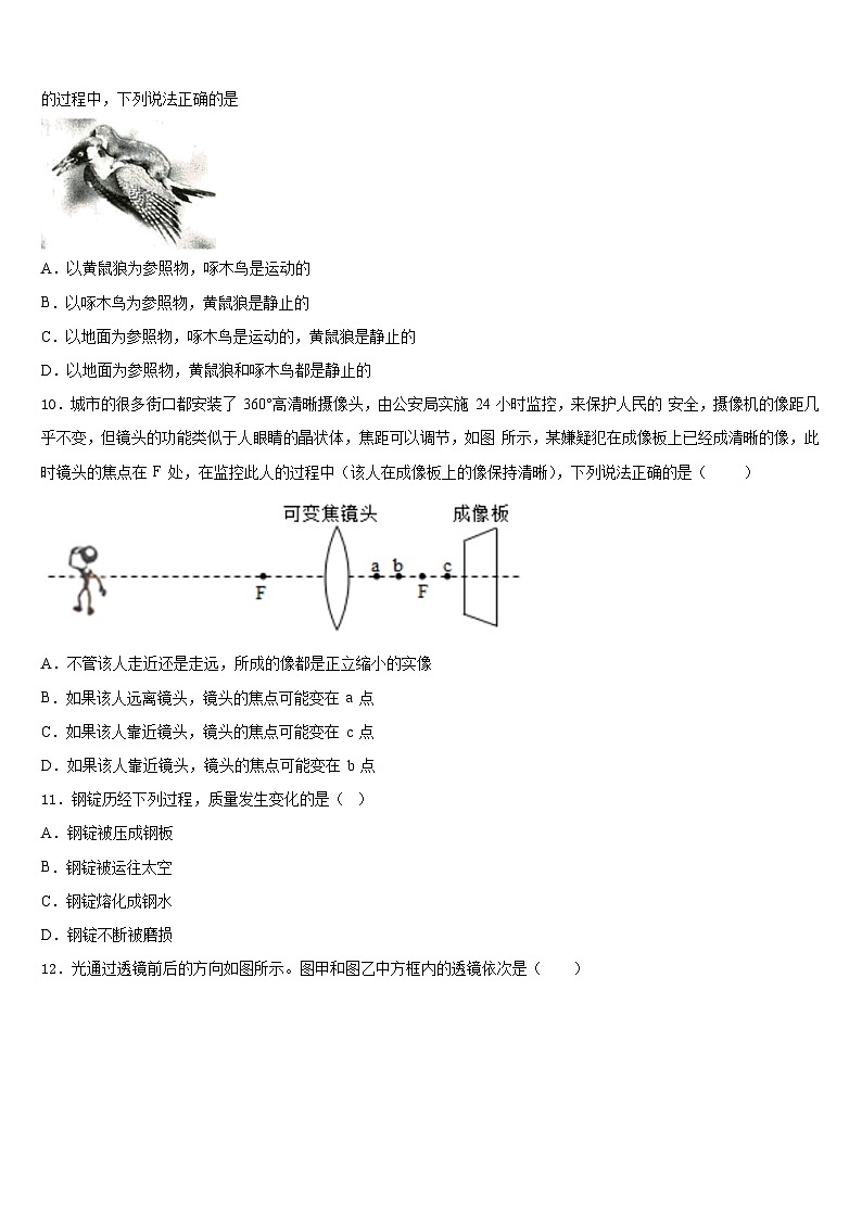 2023-2024学年山东省滨州市惠民县物理八年级第一学期期末统考模拟试题含答案第3页