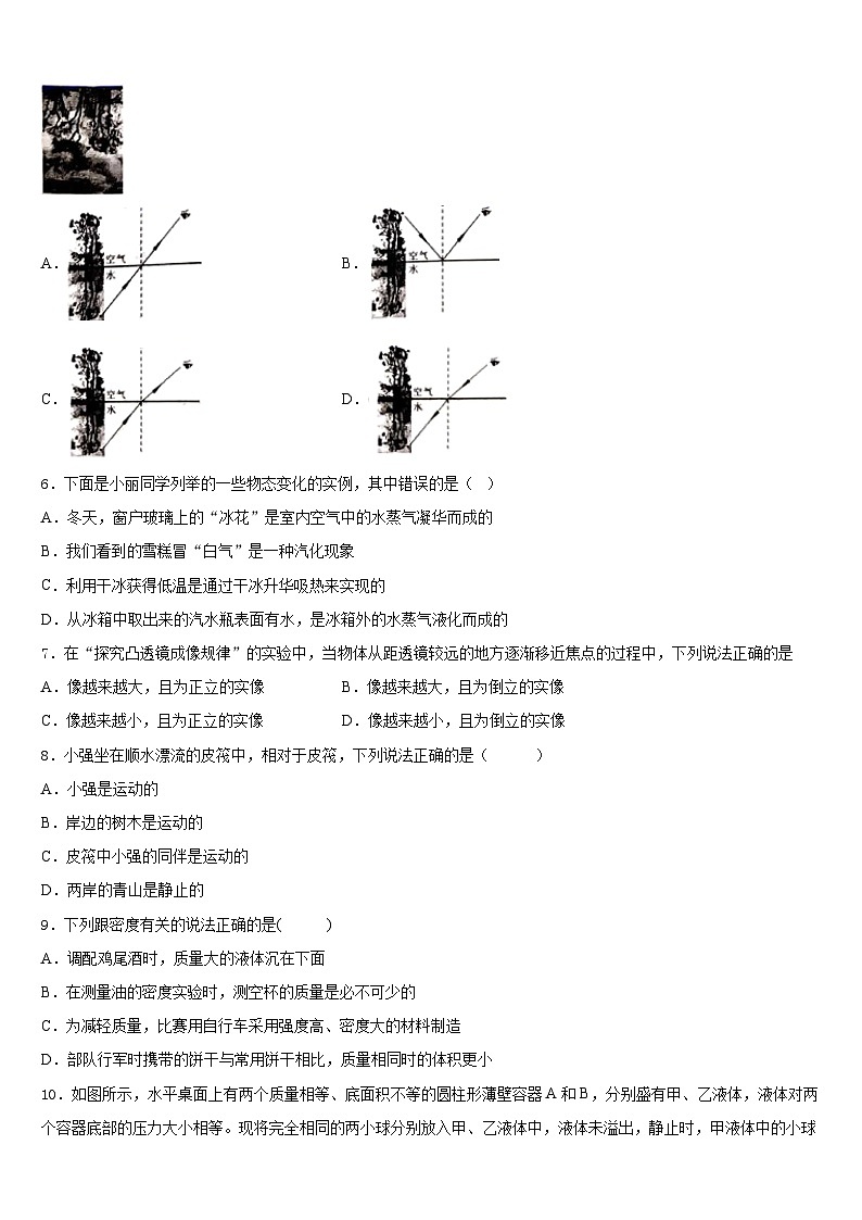 2023-2024学年山东省菏泽市部分市县物理八年级第一学期期末考试模拟试题含答案第2页