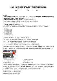 2023-2024学年山东省青岛超银中学物理八上期末检测试题含答案
