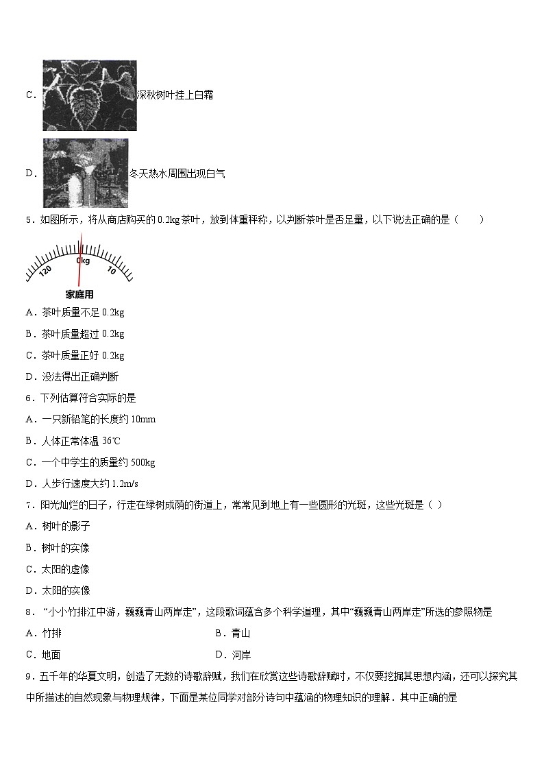 2023-2024学年山东省青岛市西海岸新区6中物理八上期末调研试题含答案第2页