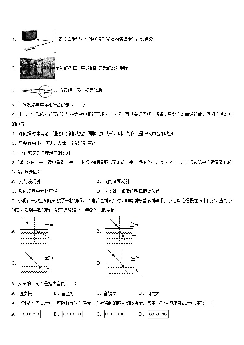 2023-2024学年山东省青岛育才中学物理八上期末质量跟踪监视试题含答案第2页