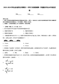 2023-2024學(xué)年山東省棗莊市第四十一中學(xué)八年級(jí)物理第一學(xué)期期末學(xué)業(yè)水平測(cè)試試題含答案