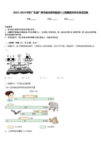 2023-2024学年广东省广州市省实教育集团八上物理期末综合测试试题含答案