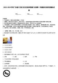 2023-2024學年廣東省江門蓬江區(qū)五校聯(lián)考物理八年級第一學期期末質量檢測模擬試題含答案