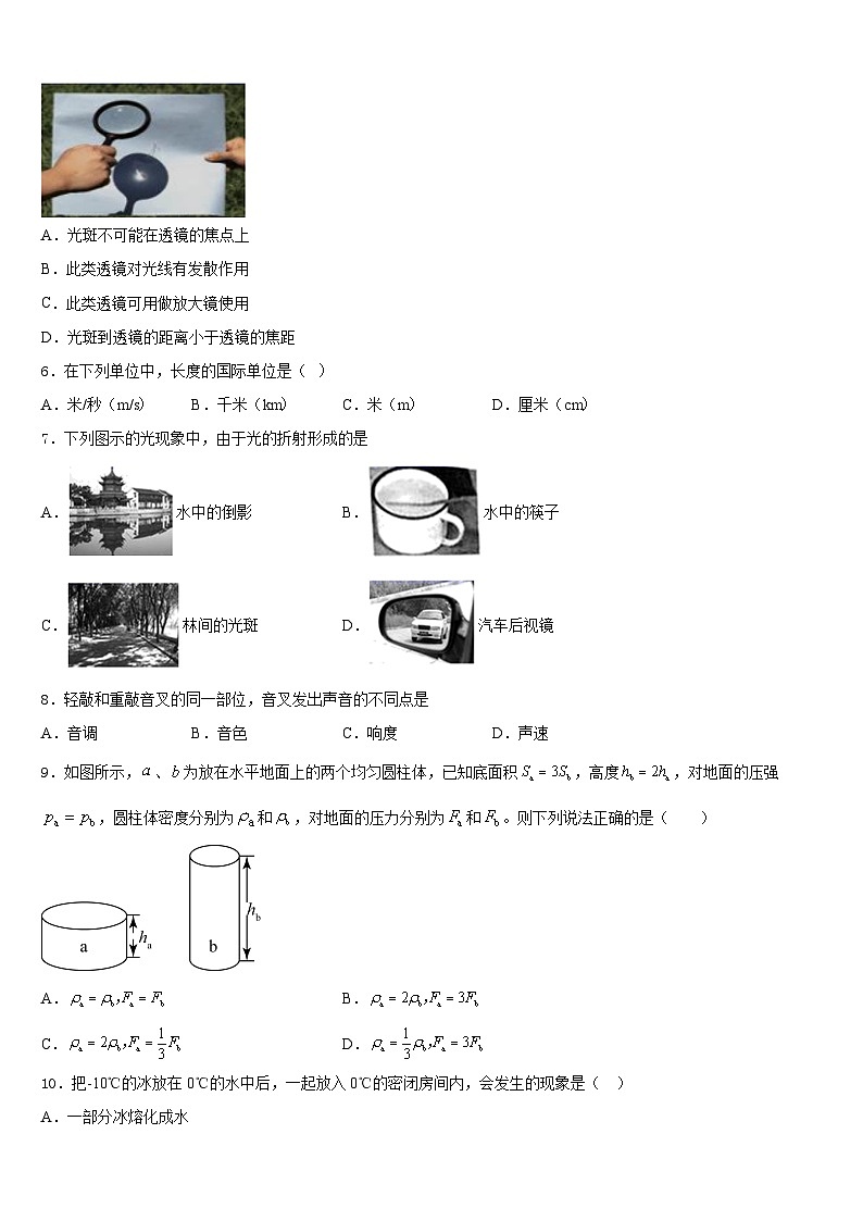 2023-2024学年广东省深圳市十校联考八上物理期末学业质量监测试题含答案第2页