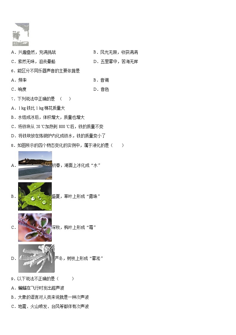 2023-2024学年广西桂平市八上物理期末检测模拟试题含答案02
