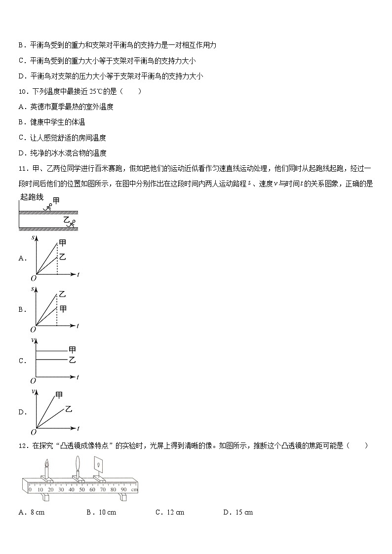2023-2024學(xué)年日喀則市八年級物理第一學(xué)期期末質(zhì)量跟蹤監(jiān)視試題含答案第3頁