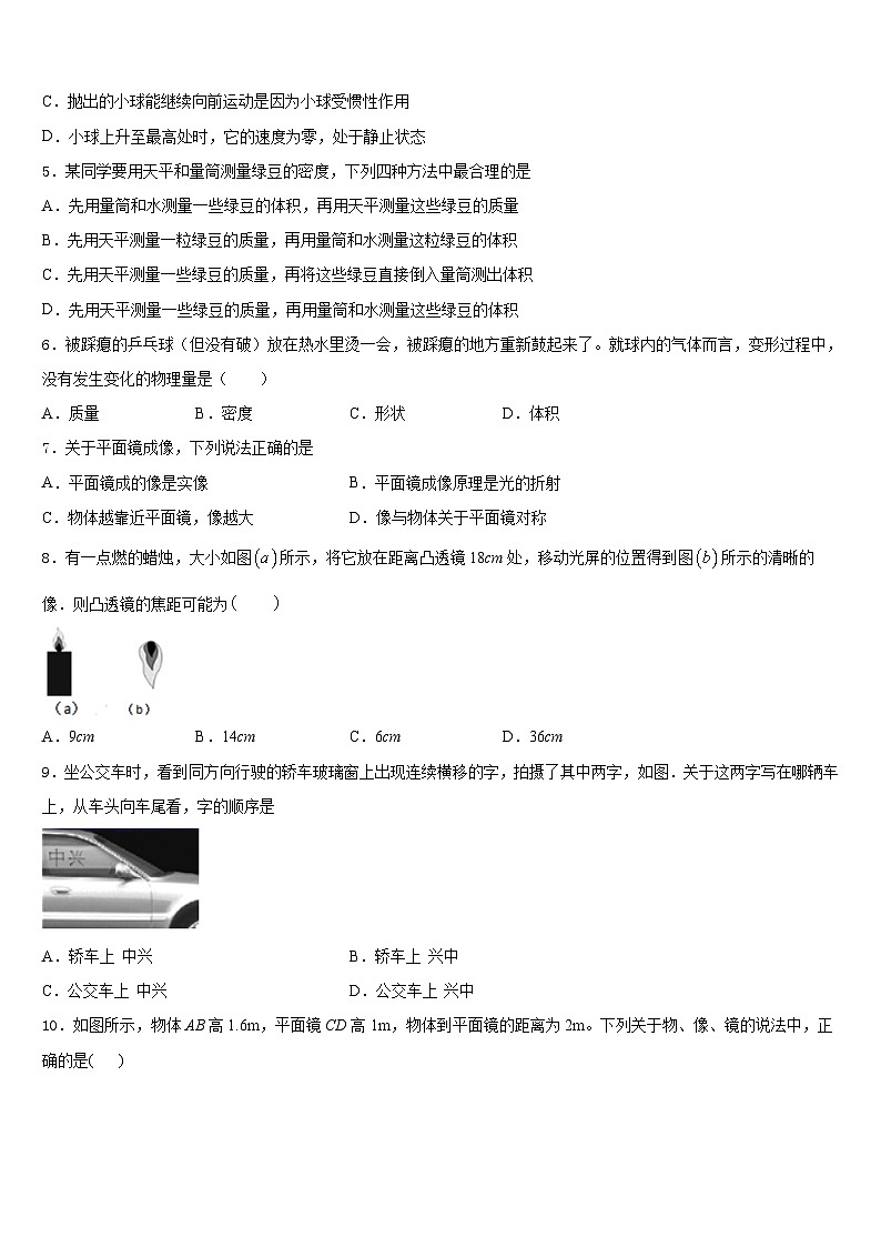 2023-2024学年广西梧州市岑溪市八上物理期末质量检测试题含答案02