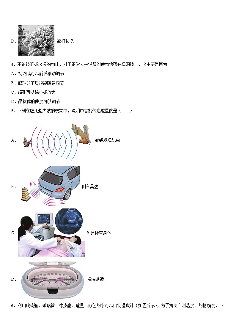 2023-2024学年江苏省东台市第六教育联盟物理八上期末联考模拟试题含答案第2页