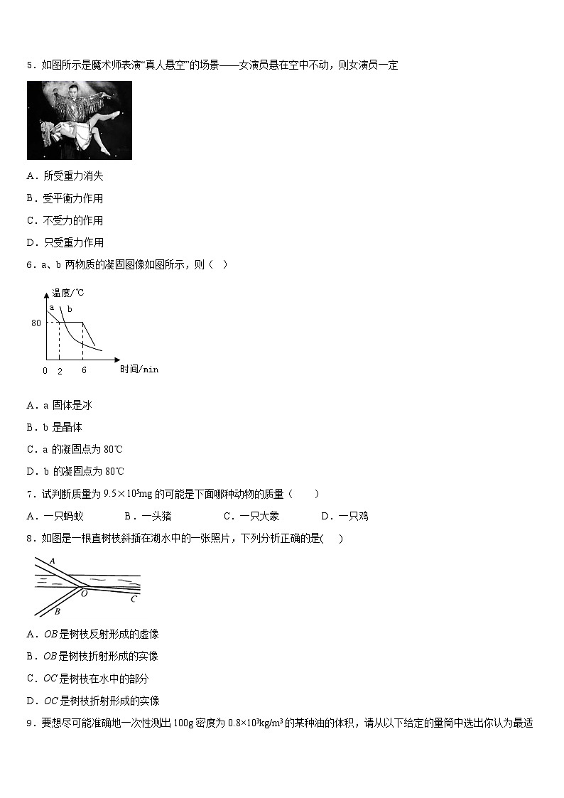 2023-2024学年江苏省苏州市八上物理期末检测模拟试题含答案第2页