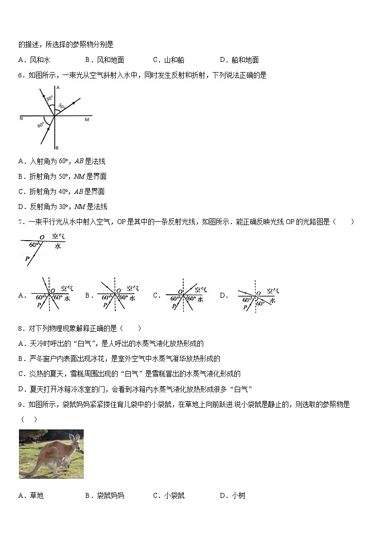 2023-2024學(xué)年江蘇省蘇州市姑蘇區(qū)平江中學(xué)八上物理期末經(jīng)典試題含答案第2頁(yè)