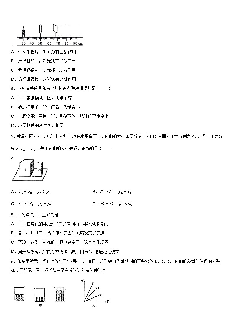 2023-2024学年江苏省苏州吴中学区八上物理期末复习检测模拟试题含答案02