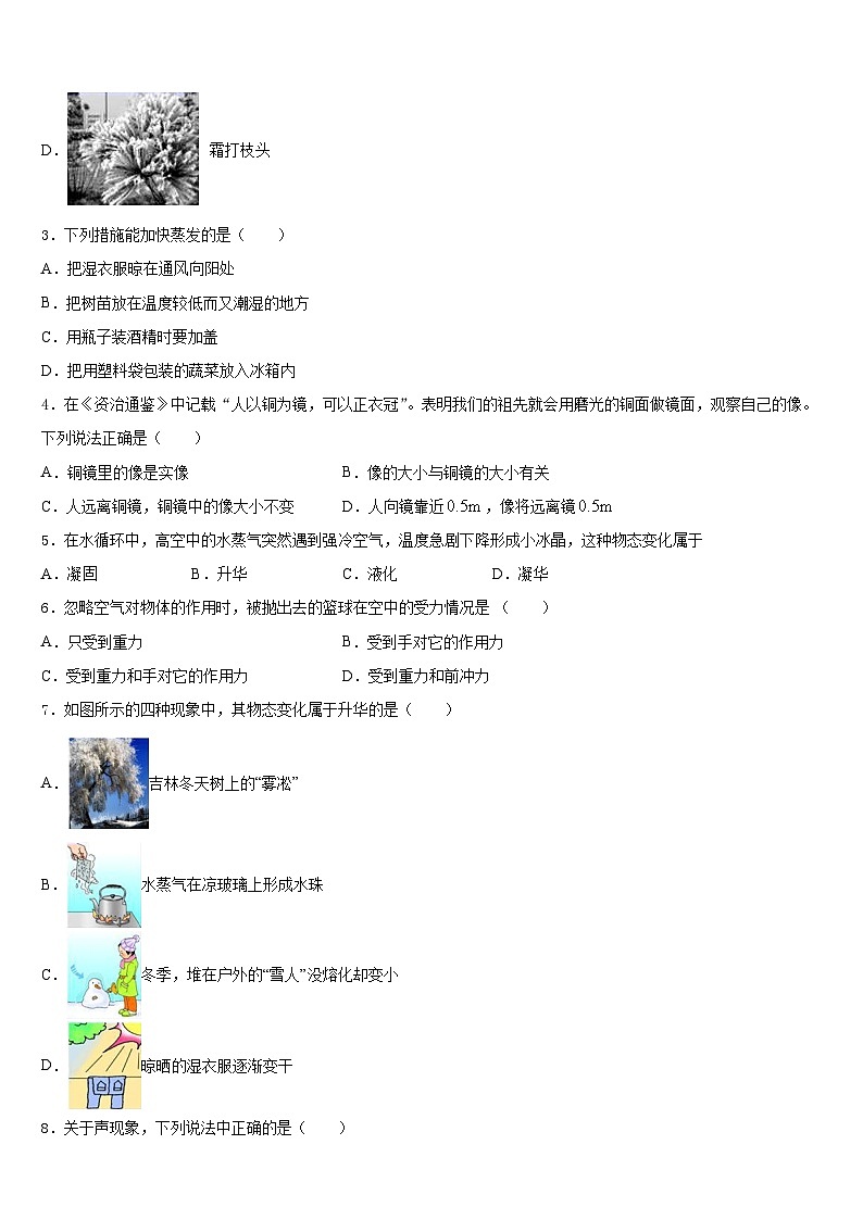 2023-2024学年江苏省连云港外国语学校物理八上期末教学质量检测模拟试题含答案第2页