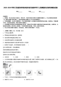 2023-2024学年江苏省苏州市张家港市梁丰高级中学八上物理期末达标检测模拟试题含答案