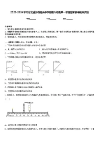 2023-2024学年河北省涉县鹿头中学物理八年级第一学期期末联考模拟试题含答案