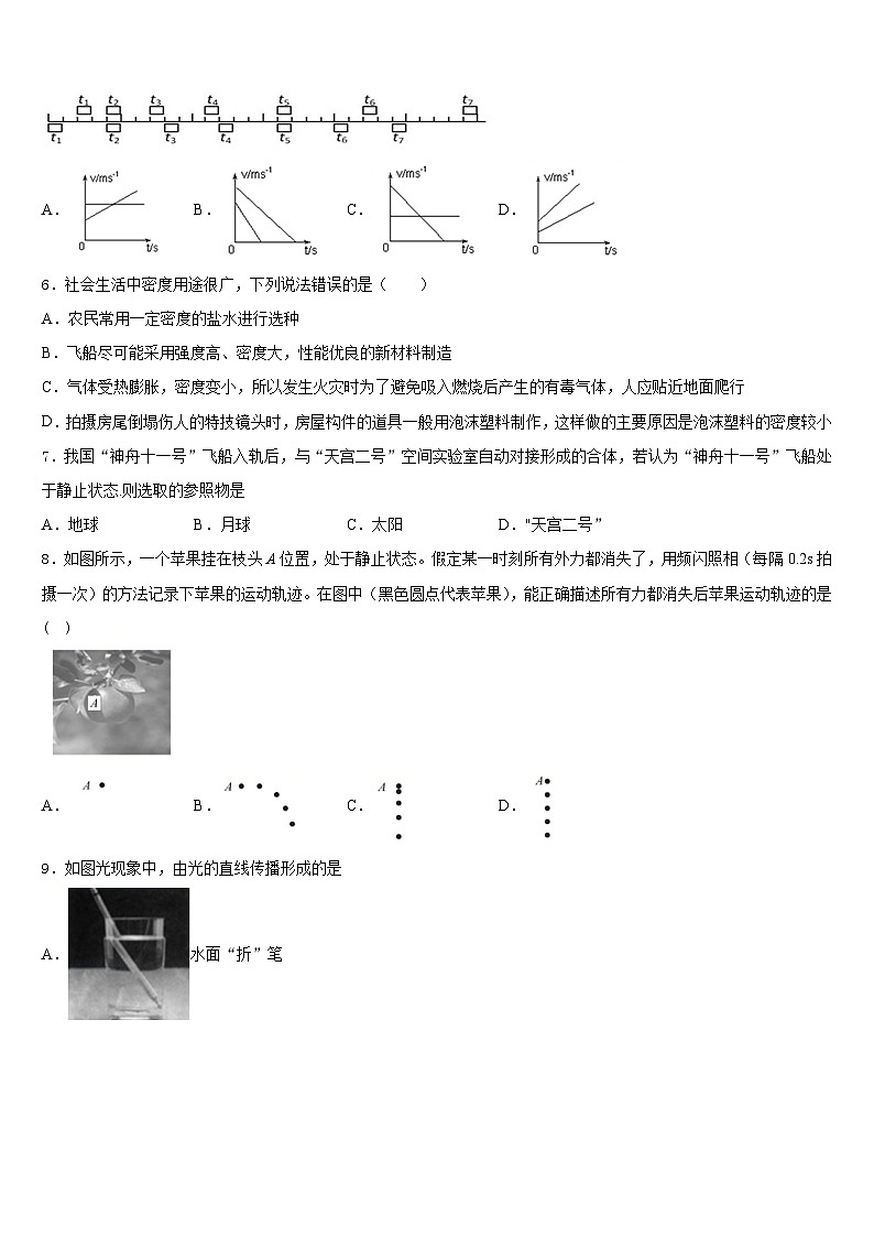 2023-2024学年河北省邯郸市物理八年级第一学期期末质量检测模拟试题含答案第2页