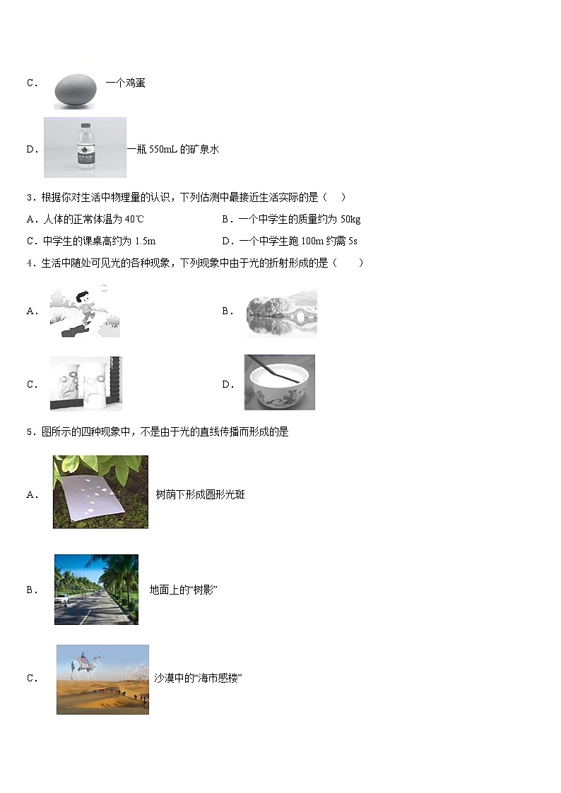 2023-2024学年河北省邯郸市育华中学八年级物理第一学期期末统考模拟试题含答案02