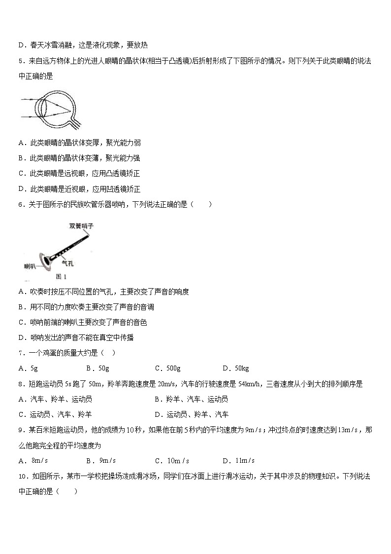 2023-2024学年河北省秦皇岛市青龙县物理八上期末达标检测试题含答案第2页