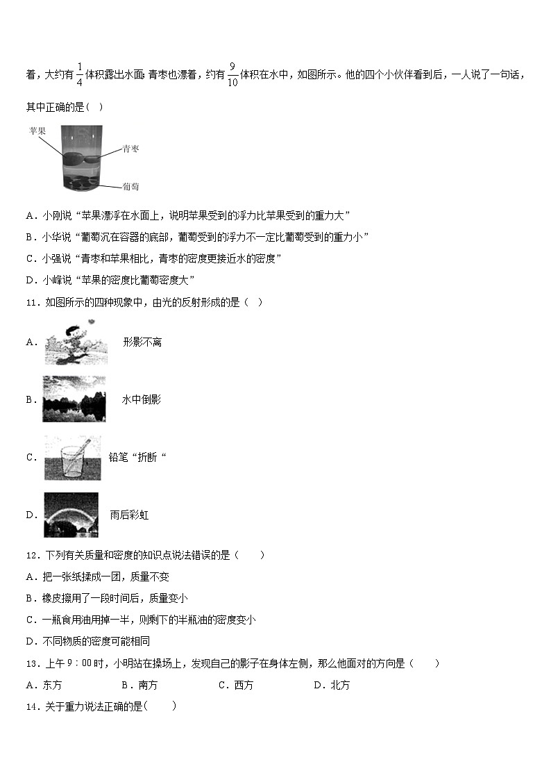 2023-2024学年河南省南阳市新野县八上物理期末达标检测模拟试题含答案03