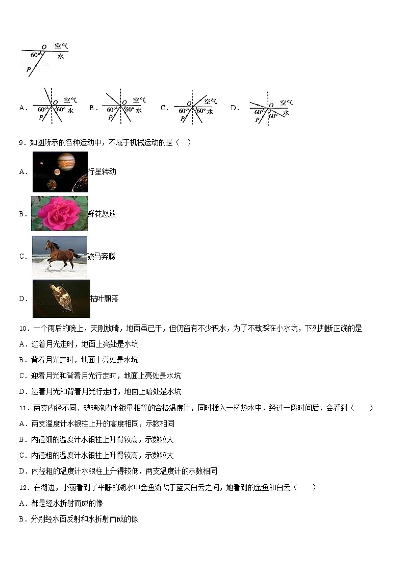2023-2024学年河南省南阳华龙中学八上物理期末检测模拟试题含答案03