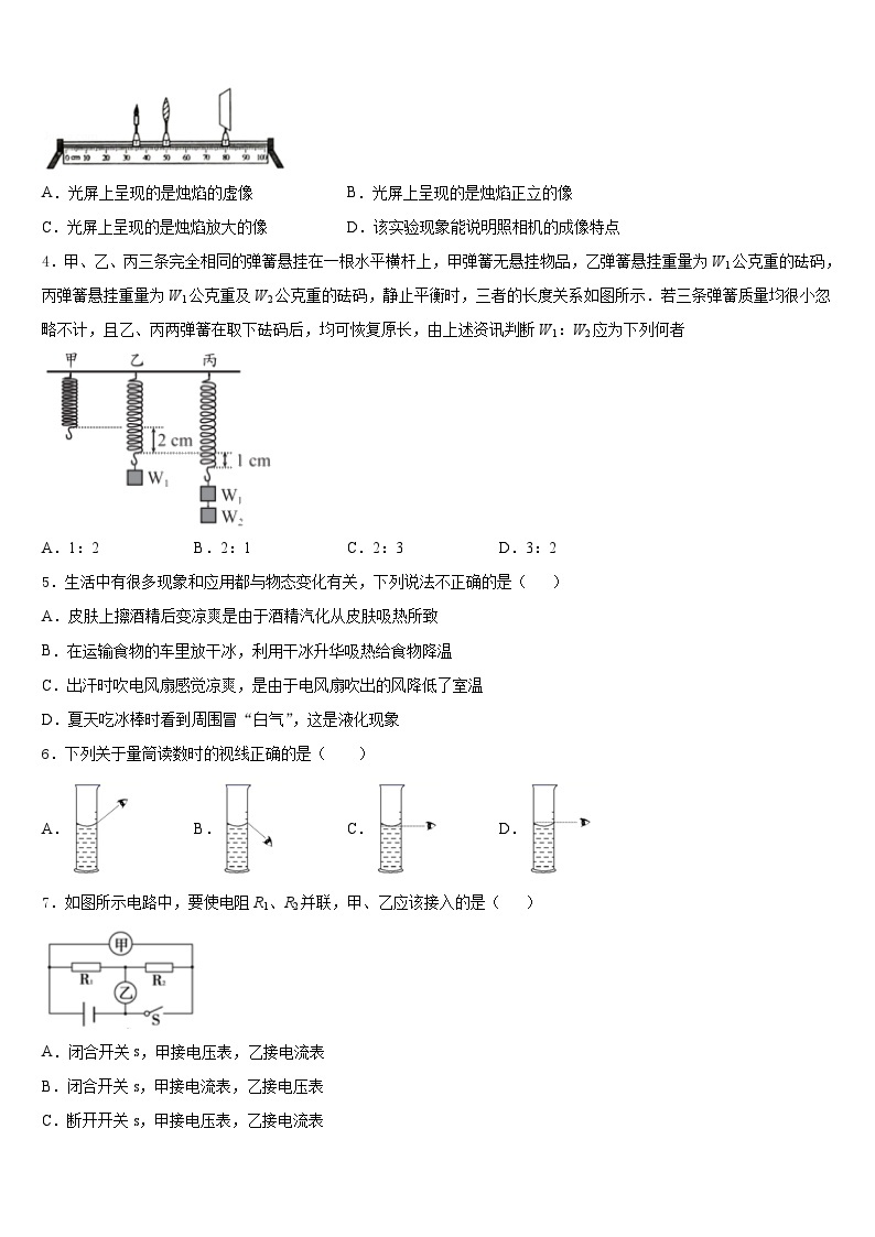 2023-2024学年河南省平顶山市宝丰县八上物理期末统考模拟试题含答案02