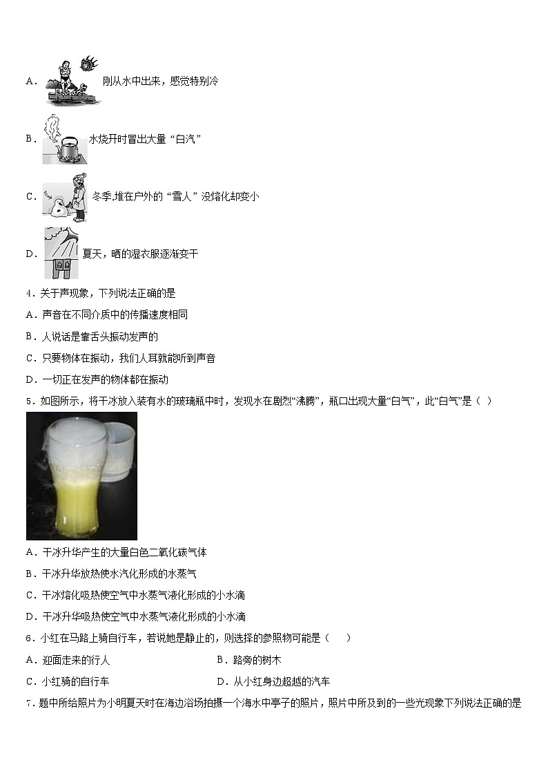 2023-2024学年河南省周口市八上物理期末预测试题含答案02