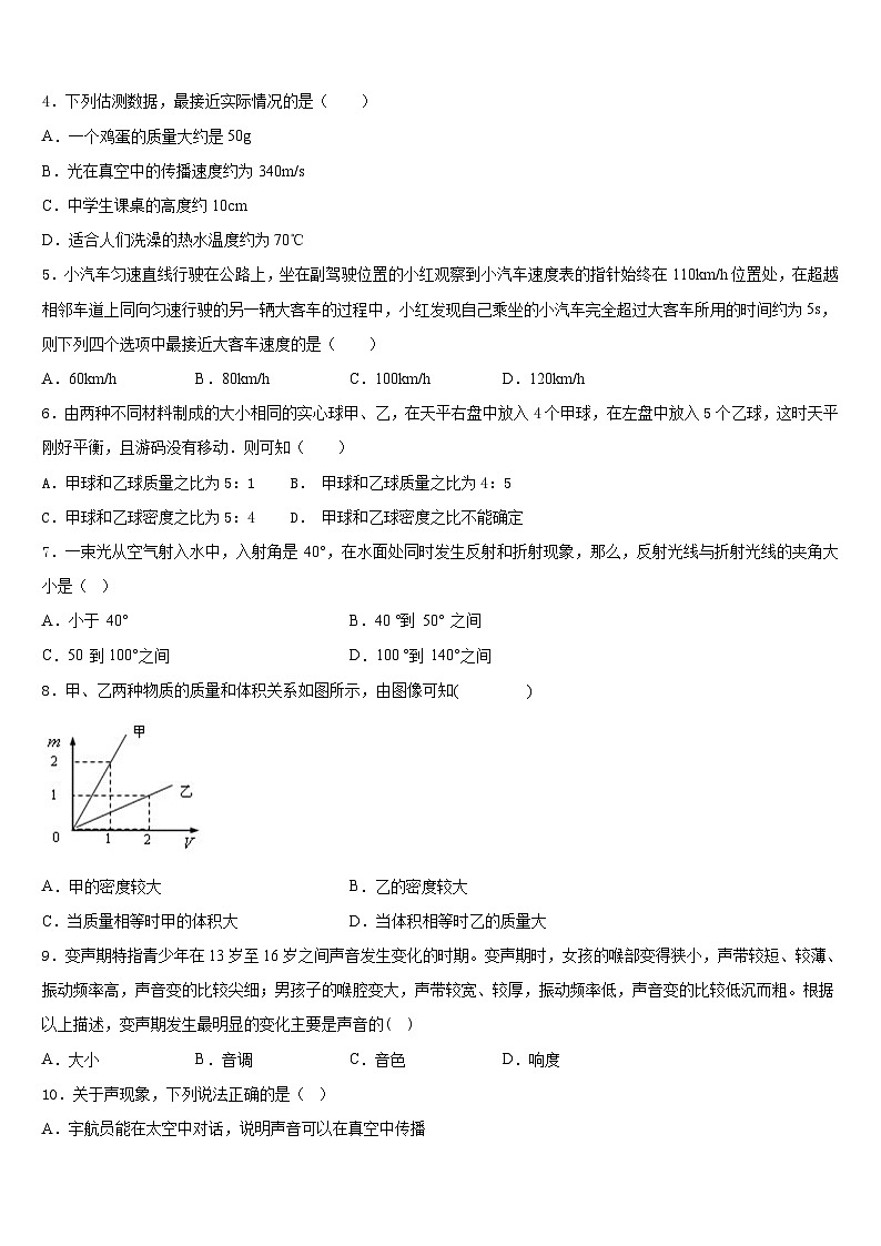 2023-2024学年河南省商丘市柘城县实验中学八上物理期末检测模拟试题含答案02