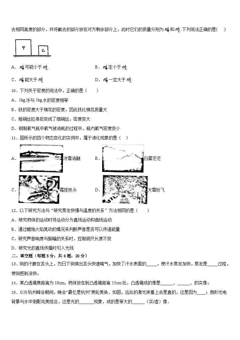2023-2024学年河南省新乡、开封市名校联考八年级物理第一学期期末质量跟踪监视模拟试题含答案第3页