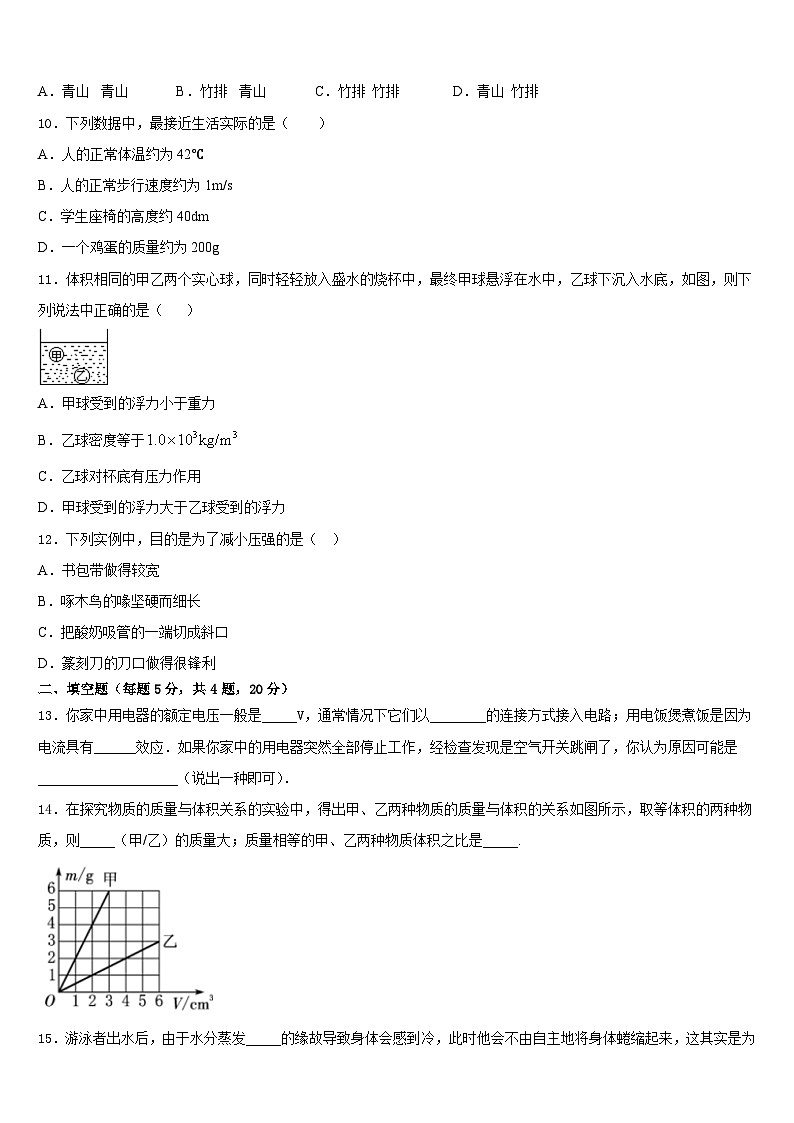 2023-2024学年河南省商丘综合实验中学八上物理期末学业质量监测模拟试题含答案第3页
