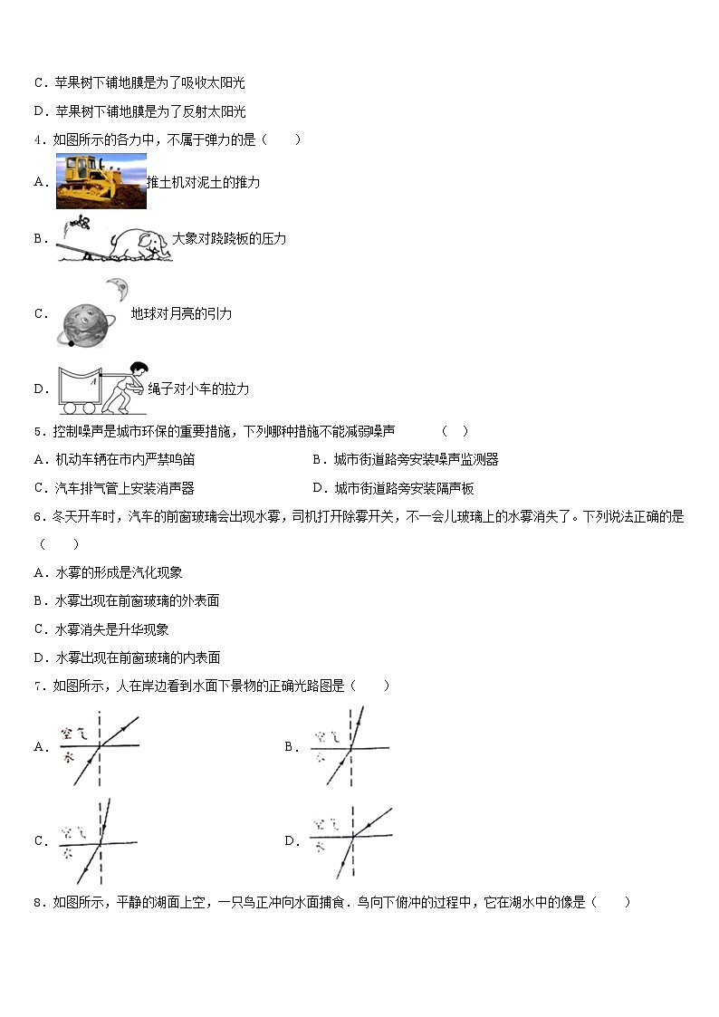 2023-2024学年河南省郑州八中学八上物理期末检测试题含答案02