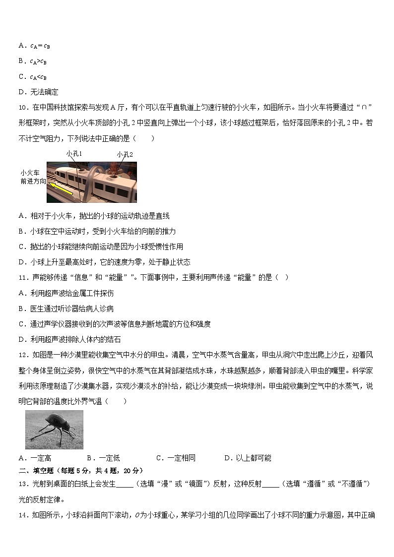 2023-2024学年河南省郑州市七十三中学物理八上期末统考模拟试题含答案第3页