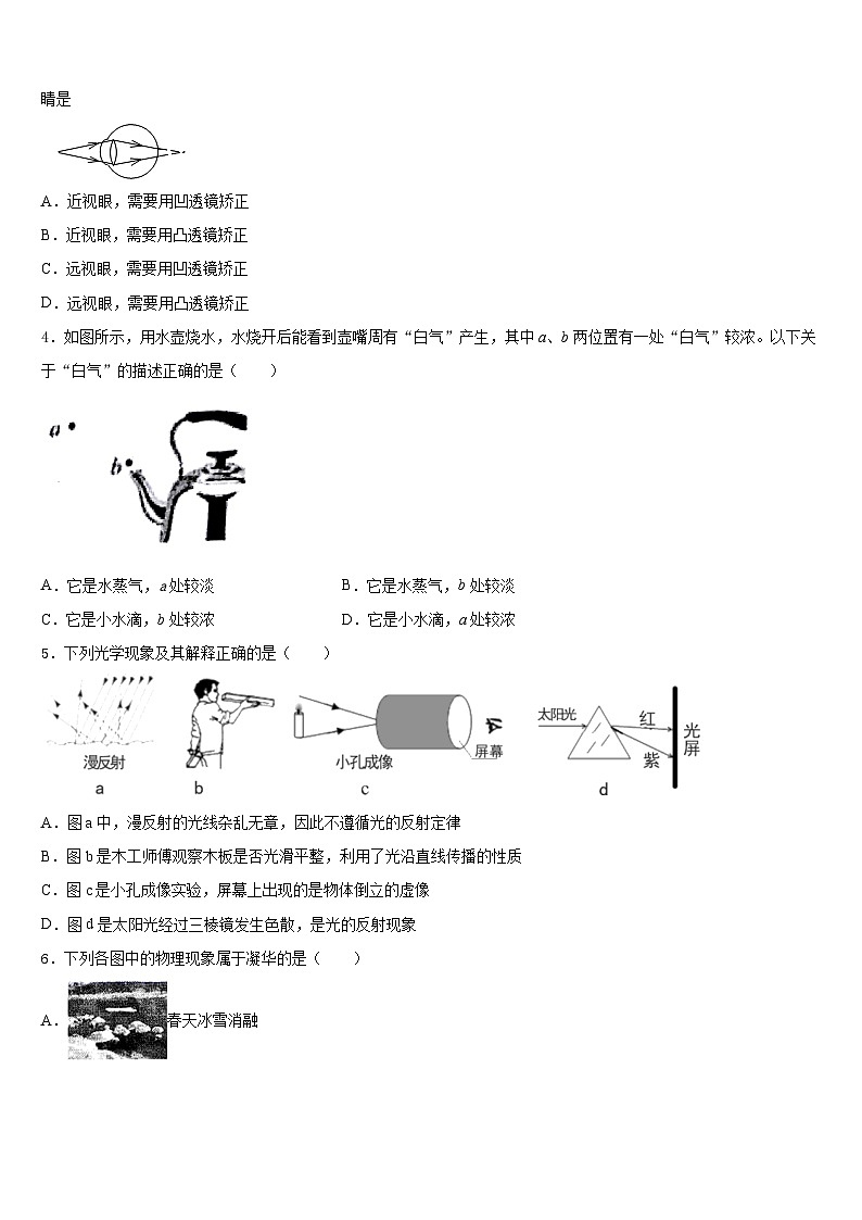 2023-2024学年河南省郑州市郑东新区实验学校八年级物理第一学期期末监测试题含答案02
