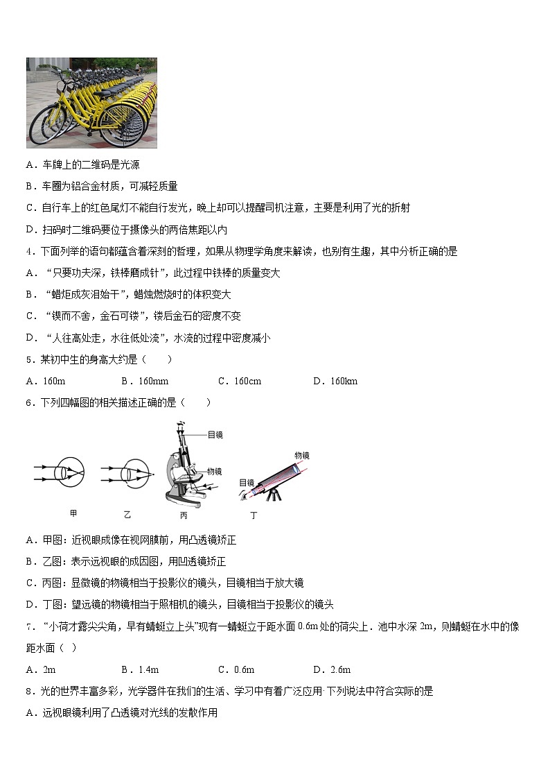 2023-2024学年浙江省丽水市名校八上物理期末检测模拟试题含答案02