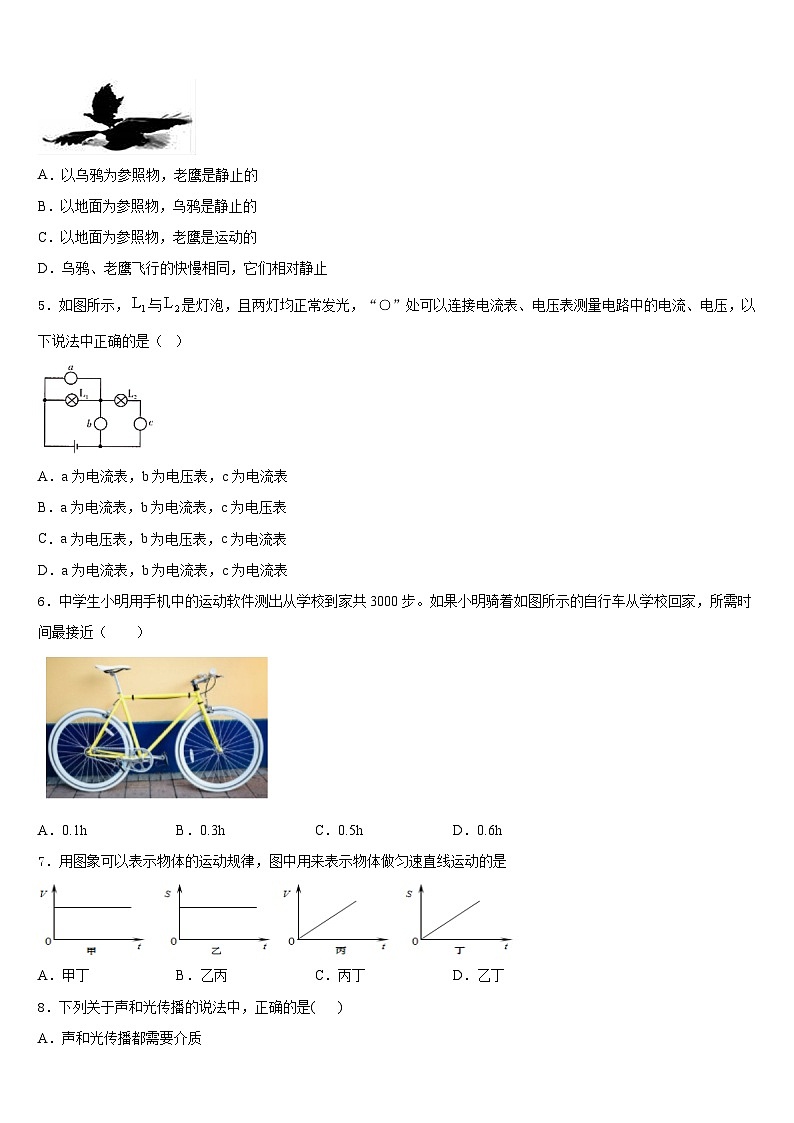 2023-2024學(xué)年浙江省臺州院附中八上物理期末質(zhì)量檢測模擬試題含答案第2頁