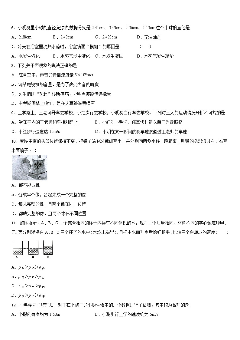 2023-2024学年浙江省台州市白云中学物理八年级第一学期期末复习检测模拟试题含答案第2页