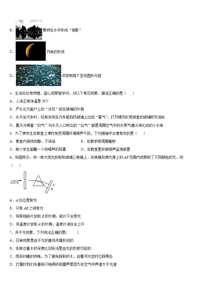 2023-2024学年海南省东方市八所中学八年级物理第一学期期末质量跟踪监视模拟试题含答案02
